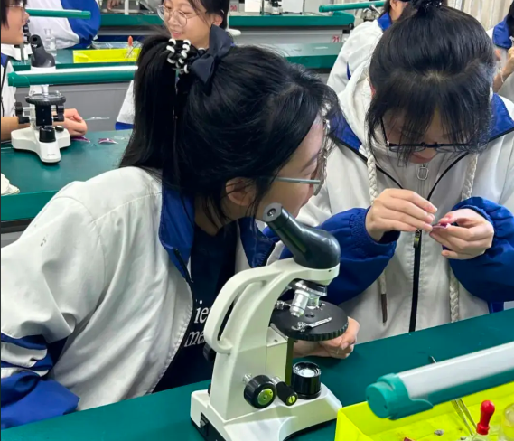 当中的讲堂经过光纤直达讲堂当名师在“专递讲堂”上为乡村孩